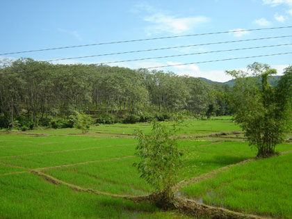 c0024135_23322022.jpg