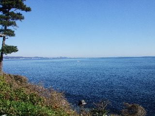 b0165236_18441414.jpg