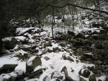 c0077338_1823256.jpg
