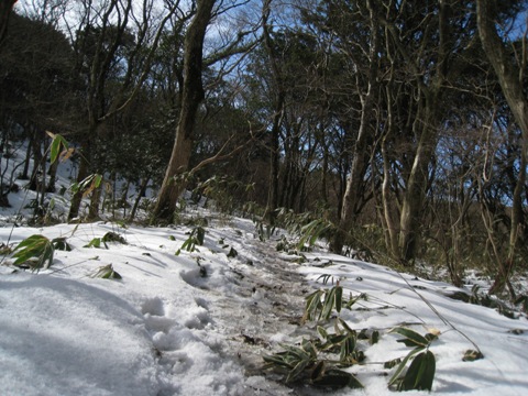 c0077338_18234163.jpg