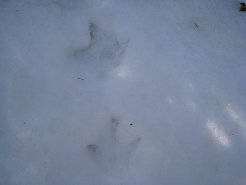 c0077338_1824285.jpg