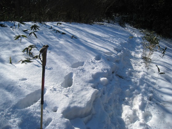 c0077338_18243167.jpg