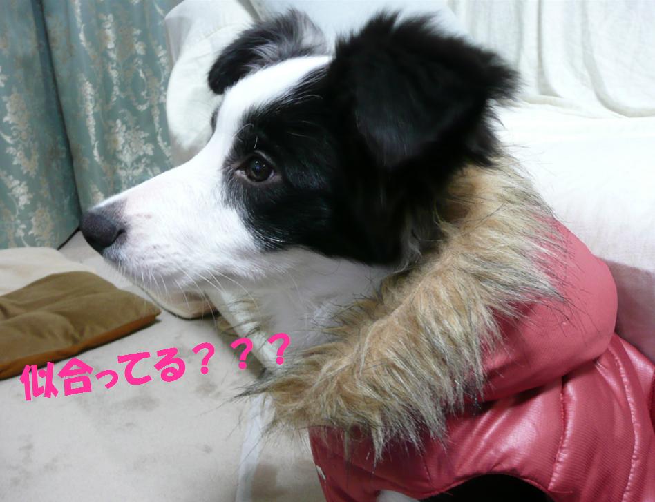c0147241_2116168.jpg