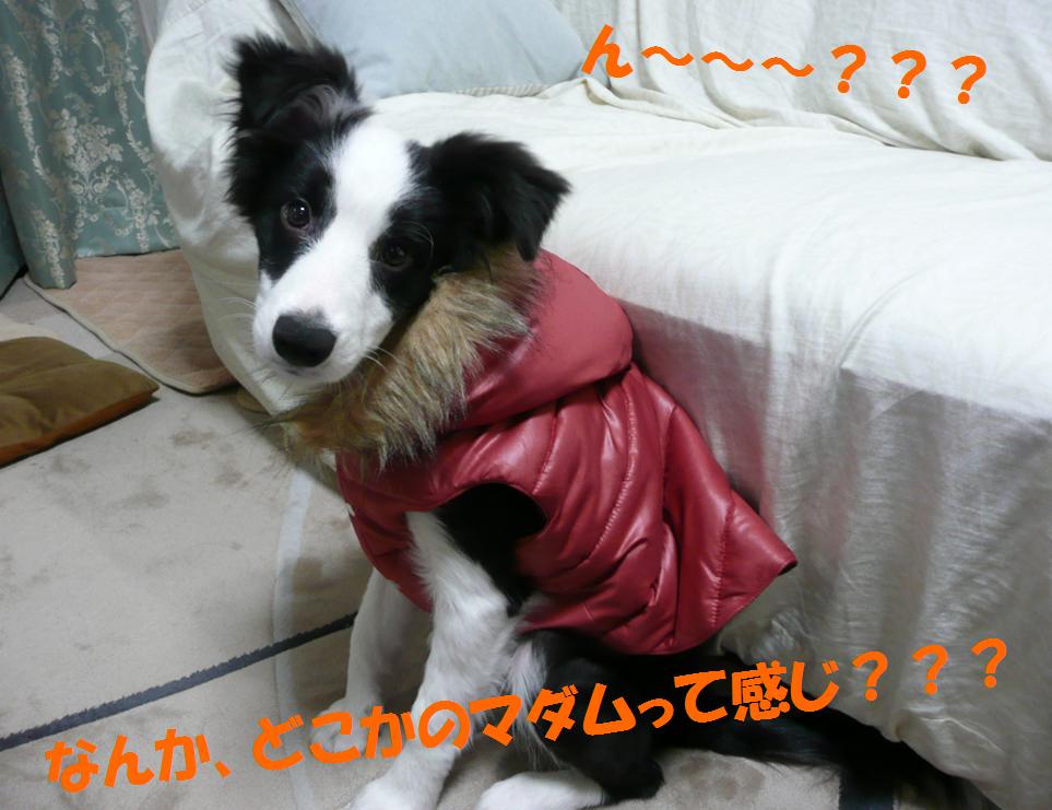 c0147241_21162290.jpg