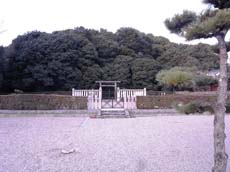a0100742_845087.jpg