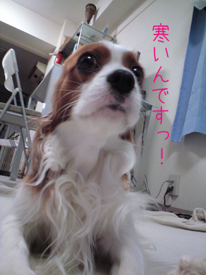 a0120944_2022136.jpg