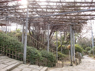 d0031853_16103065.jpg