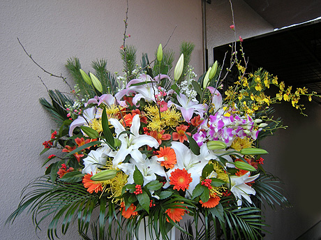 a0001354_1921118.jpg