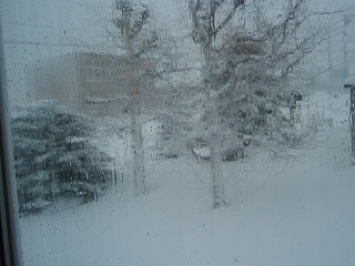 e0004756_21245656.jpg