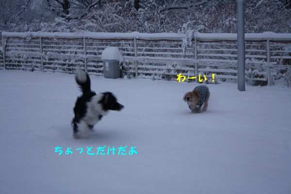 a0100564_22285319.jpg