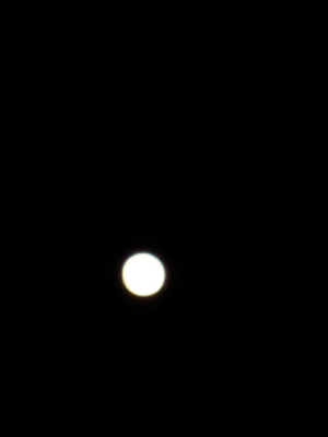c0196264_2244616.jpg