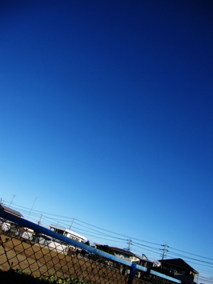 c0196264_2251243.jpg