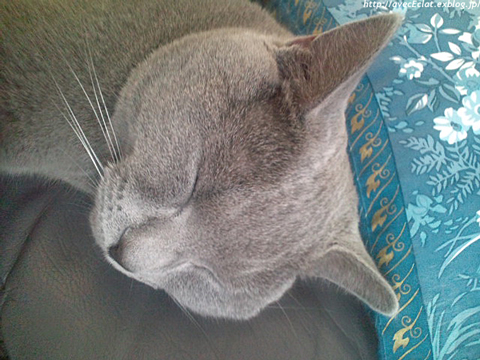 c0200365_1494693.jpg