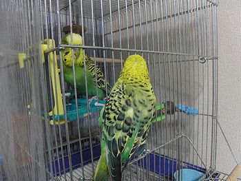 f0196665_22414271.jpg