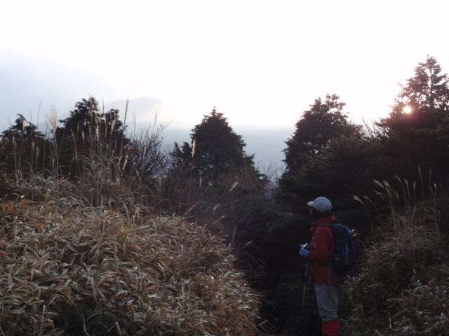 c0042869_2052546.jpg