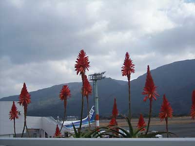 e0097770_0403441.jpg