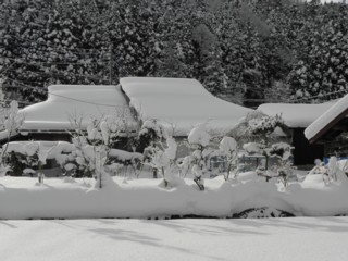 d0134473_14164916.jpg