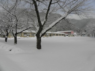 d0134473_1418239.jpg
