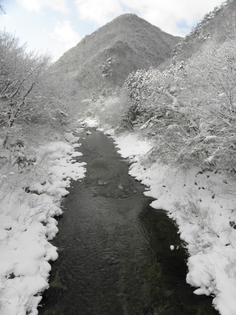 d0134473_14263672.jpg
