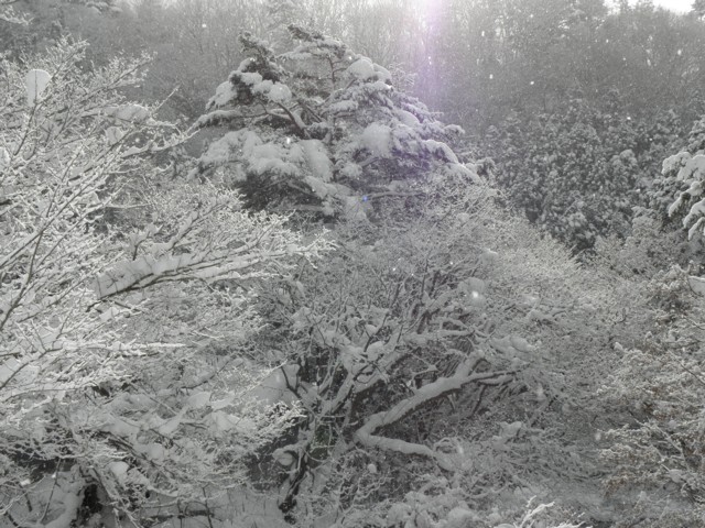 d0134473_1427498.jpg
