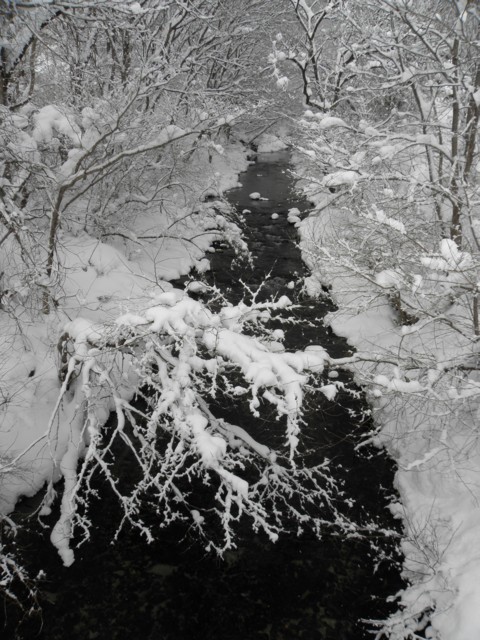 d0134473_14292897.jpg