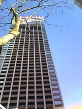c0102375_0315268.jpg