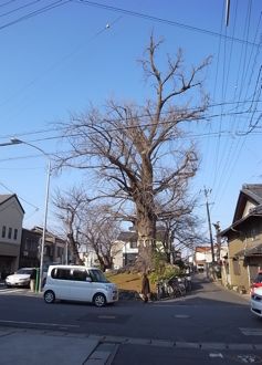 b0177078_912637.jpg
