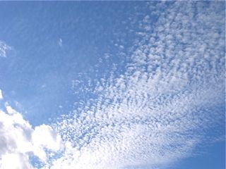 b0177078_9582474.jpg