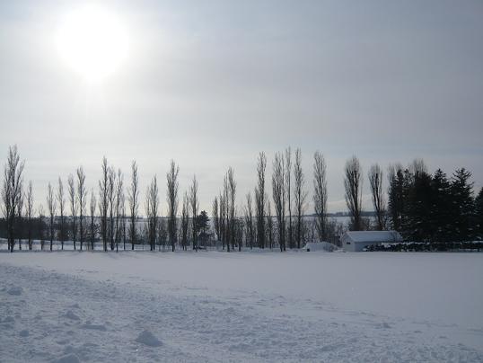 c0175679_18104278.jpg