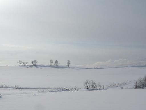 c0175679_1812587.jpg