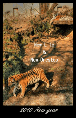 c0012180_21205740.gif