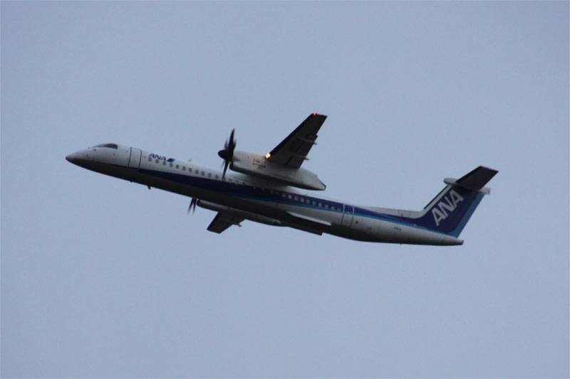 c0148781_2062767.jpg