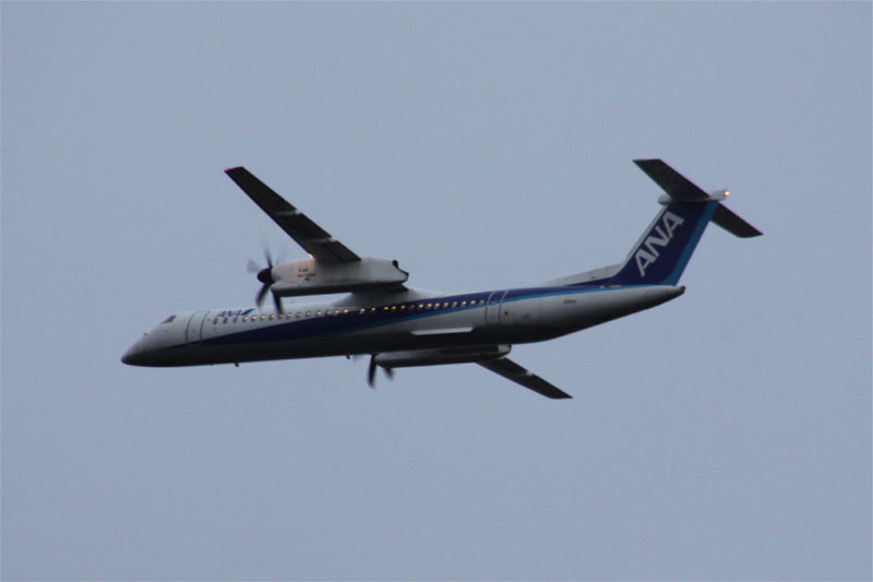 c0148781_2075930.jpg