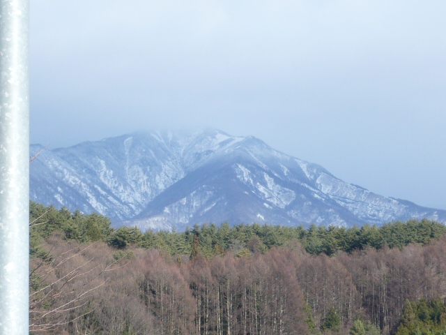 c0112286_2351299.jpg