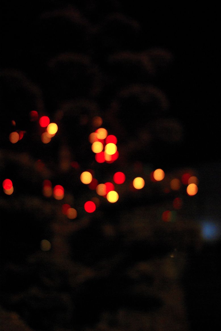 c0150986_10225592.jpg