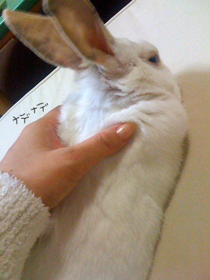 f0201191_1027495.jpg