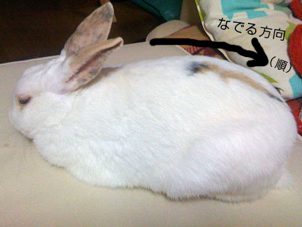 f0201191_10304990.jpg