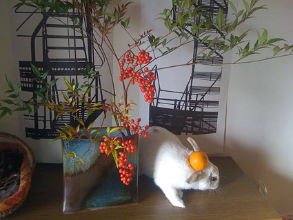 f0201191_20421446.jpg