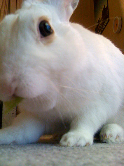 f0201191_22393066.jpg