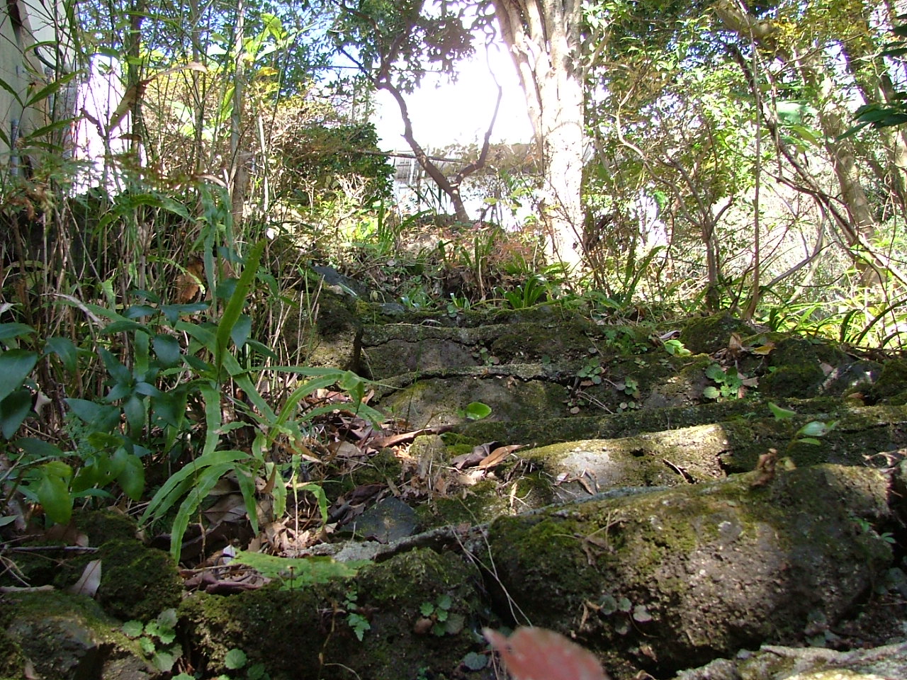 e0149593_19532495.jpg