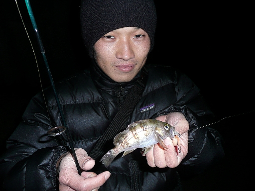 a0135797_1673089.jpg