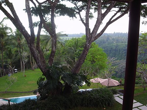 a0036499_12382745.jpg