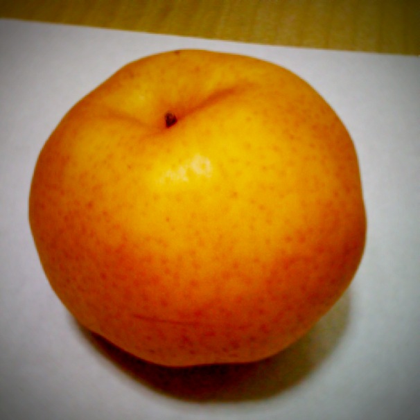 a0151799_1030171.jpg