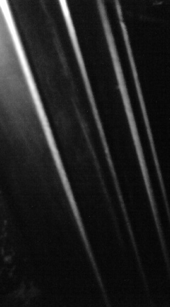 c0202101_0101752.jpg