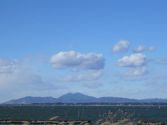 a0116902_10105399.jpg