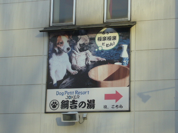 e0130008_21574811.jpg