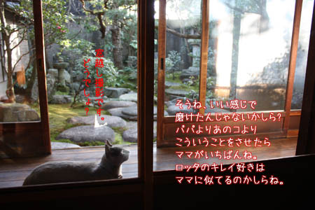 e0156015_2325020.jpg