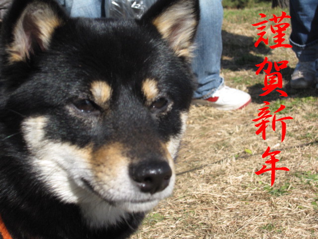 c0185516_1205467.jpg