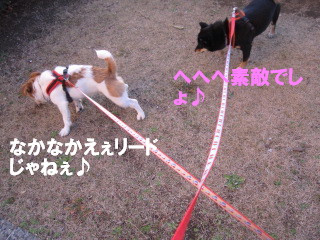 c0185516_12101629.jpg