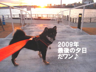 c0185516_12103898.jpg